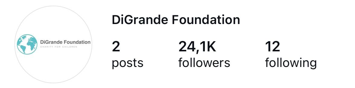 DiGrande Foundation Instagram preview